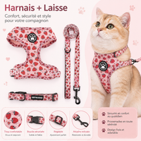 Harnais Chat Sécurité Boucle Rapide