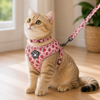 Harnais Chat Sécurité Boucle Rapide