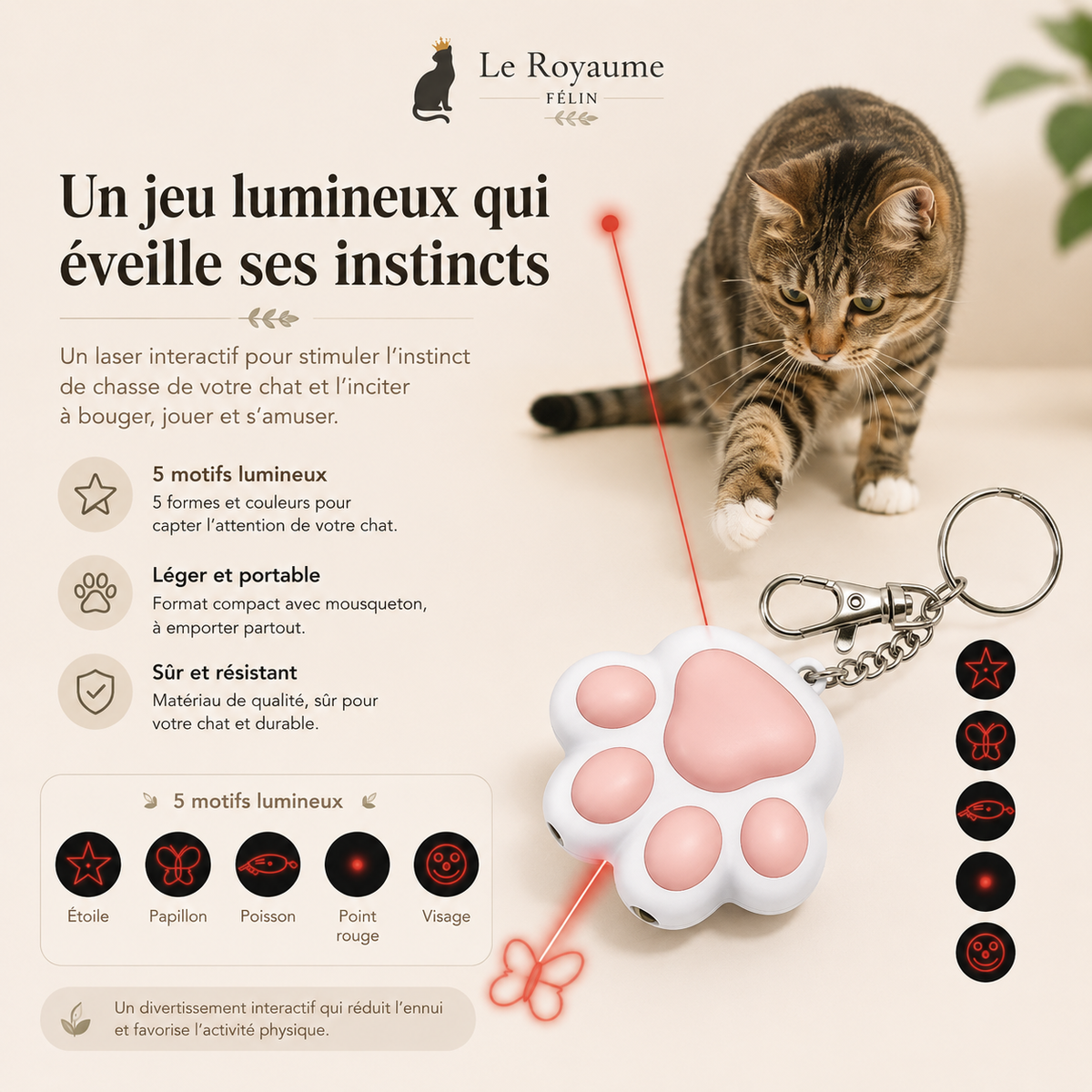 Jouet Laser pour Chat Rechargeable Motifs Lumineux