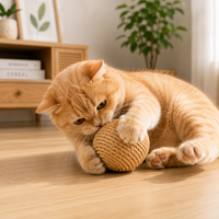 Jouet pour Chat Balle Sisal Sonore Nettoyage des Dents