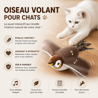 Jouet pour Chat Oiseau Interactif Rechargeable qui Chante