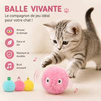 Jouet pour Chat Balle Peluche Sonore Entraînement Interactif