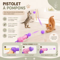 Jouet pour Chat Pistolet Lanceur de Balles Peluche Silencieux