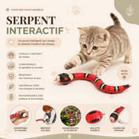 Jouet pour Chat Serpent Automatique Intelligent Rechargeable USB