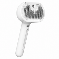 Brosse Chat Vapeur