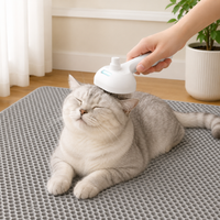 Brosse Chat Vapeur