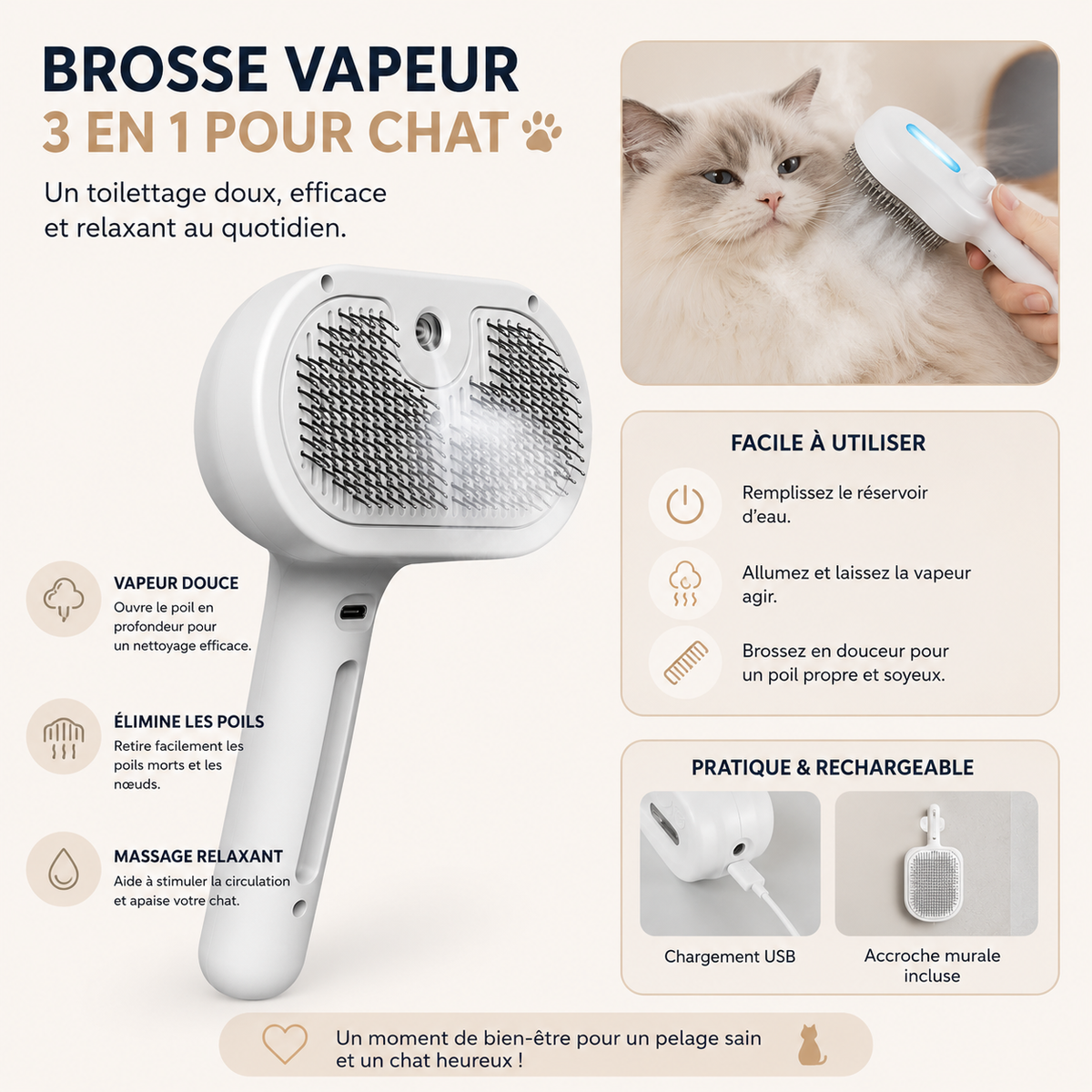 Brosse chat