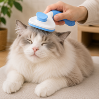 Brosse Chat Ovale Manche Ergonomique