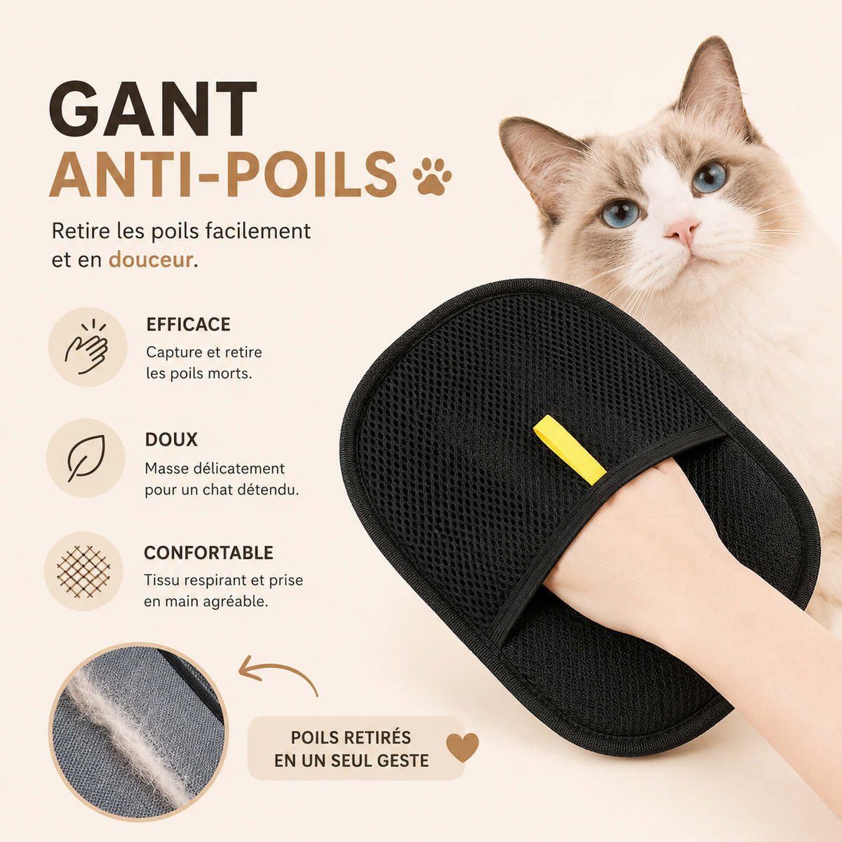 Brosse chat