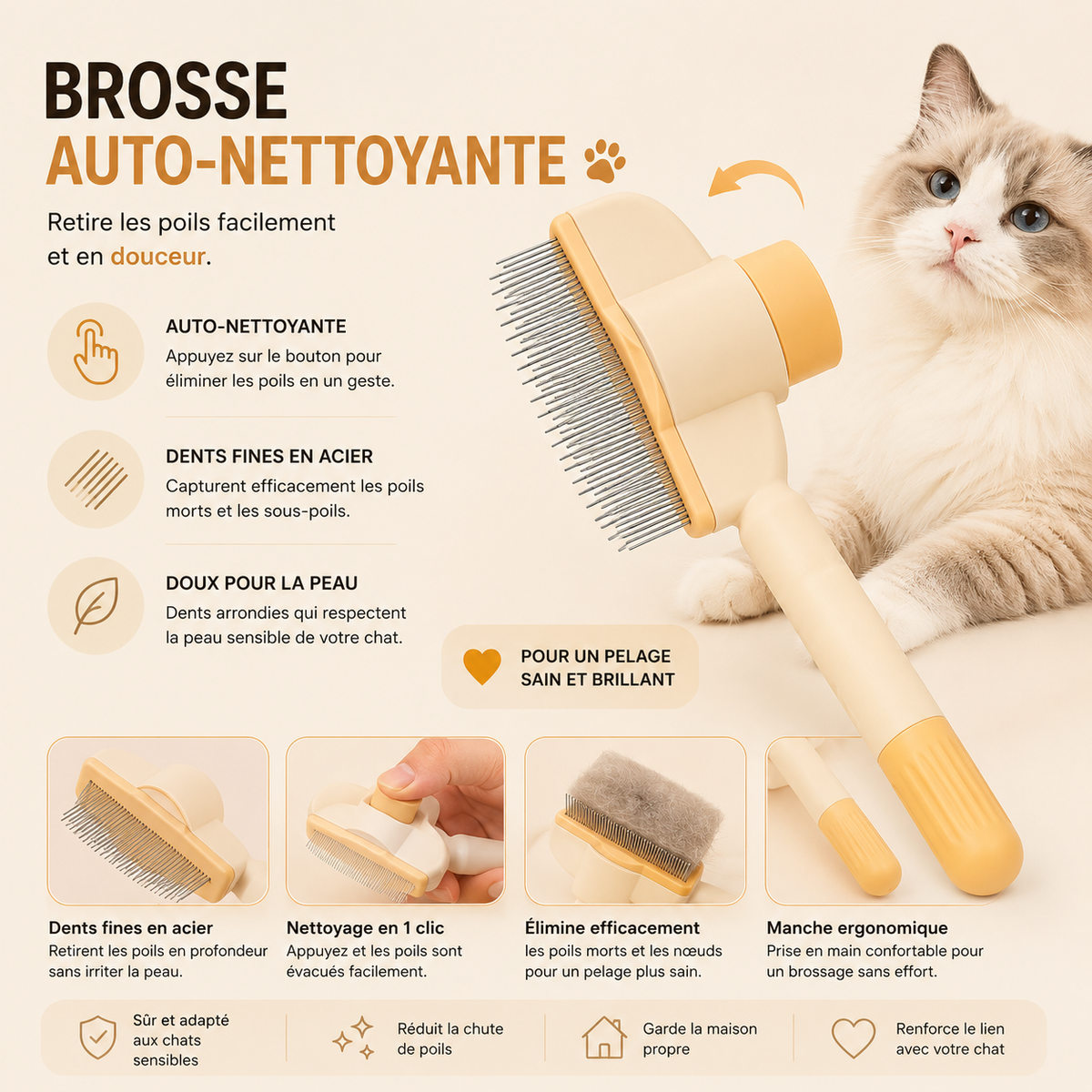 Brosse chat