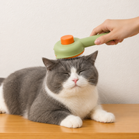 Brosse chat