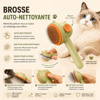 Brosse chat