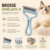 Brosse Carde pour Chat
