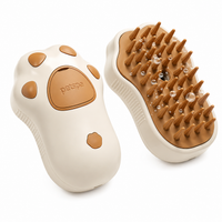 Brosse Chat Vapeur Forme Patte