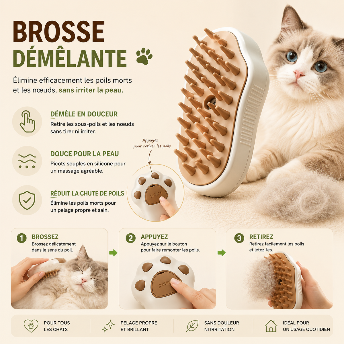 Brosse cat