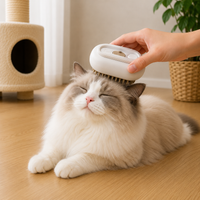 Brosse chat 3 1