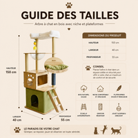 arbre a chat