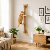 Arbre à chat
