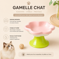 Gamelle sur evele
