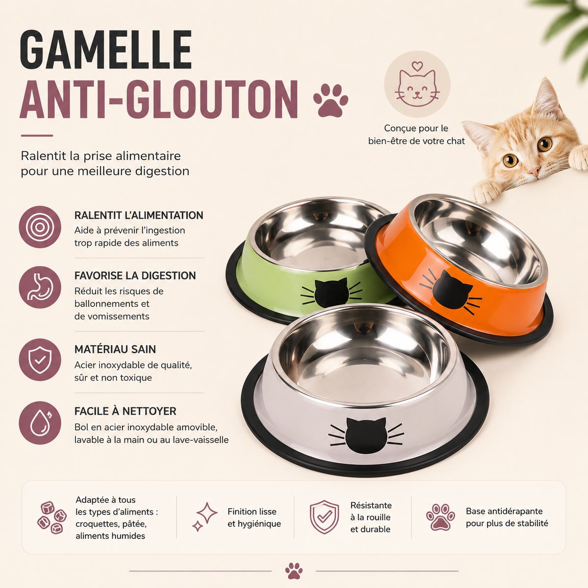 Gamelle chat