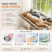 Hamac chat