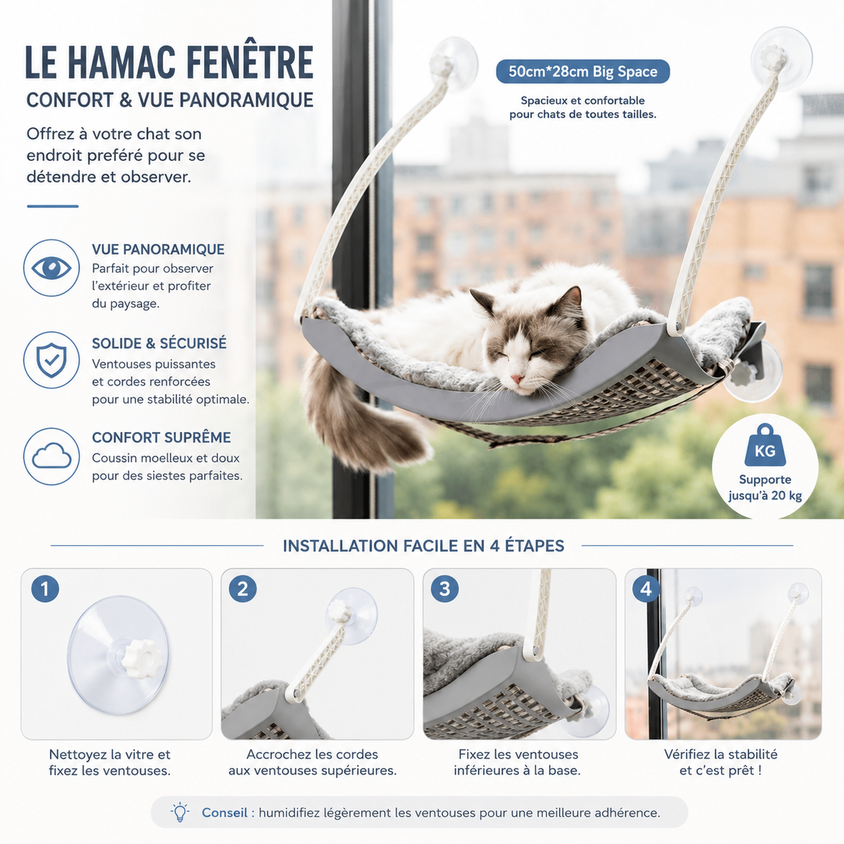 Hamac chat