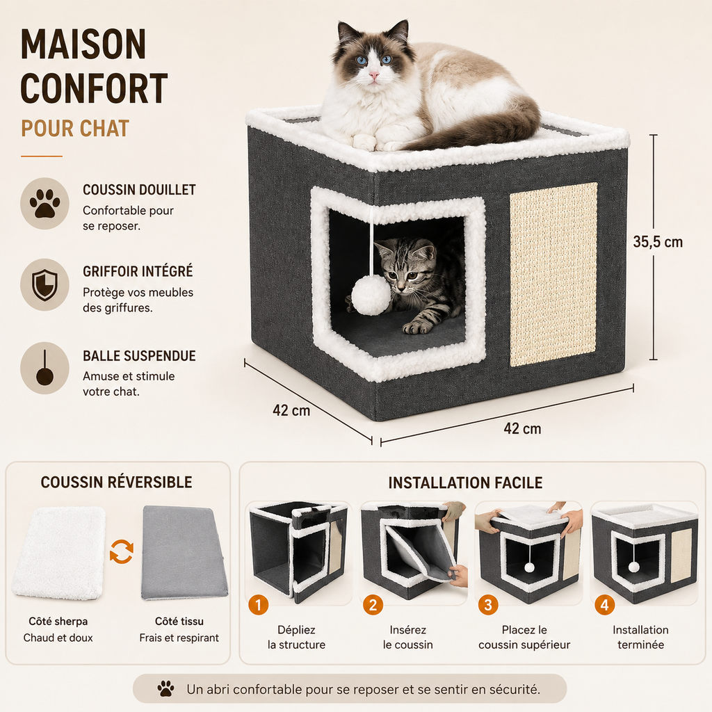 Maison chat