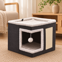 Maison chat