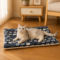 Lit Chat Peluche Épais