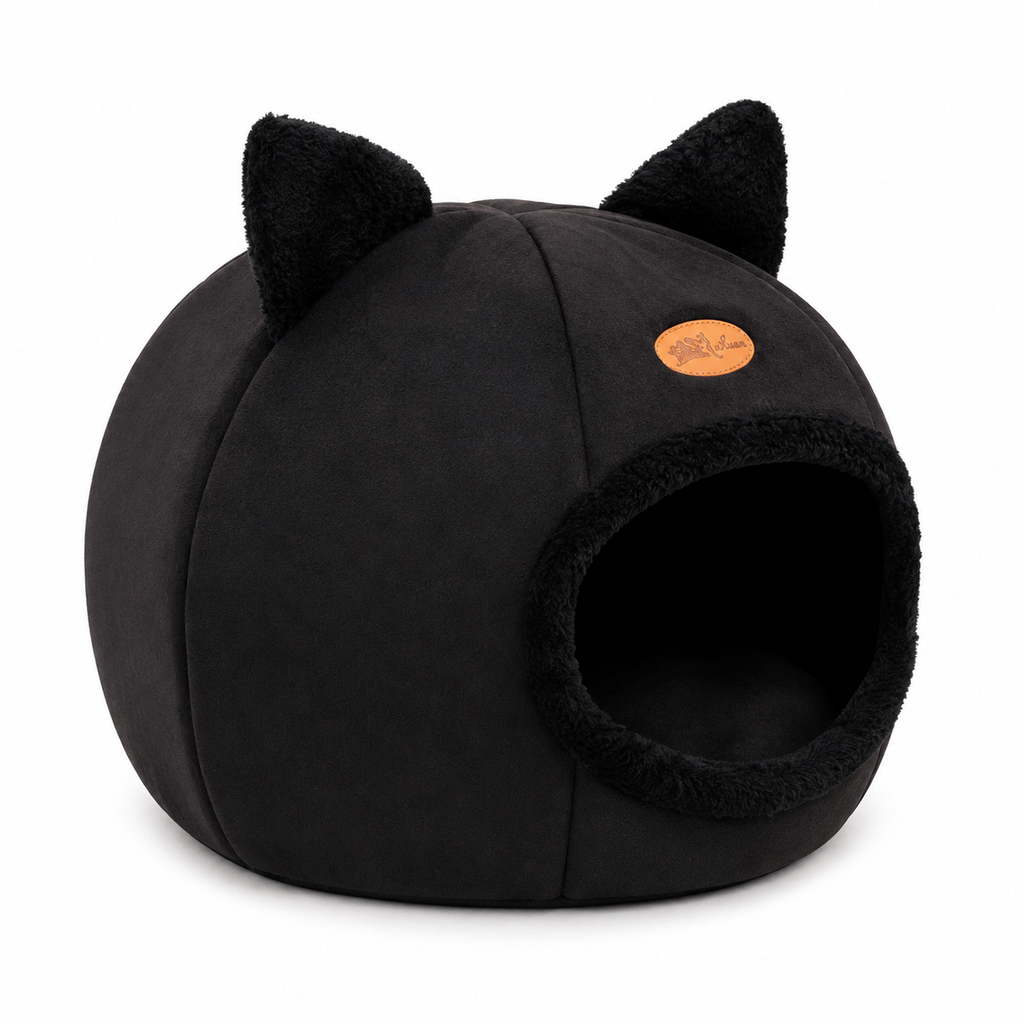 Maison chat