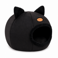 Maison chat