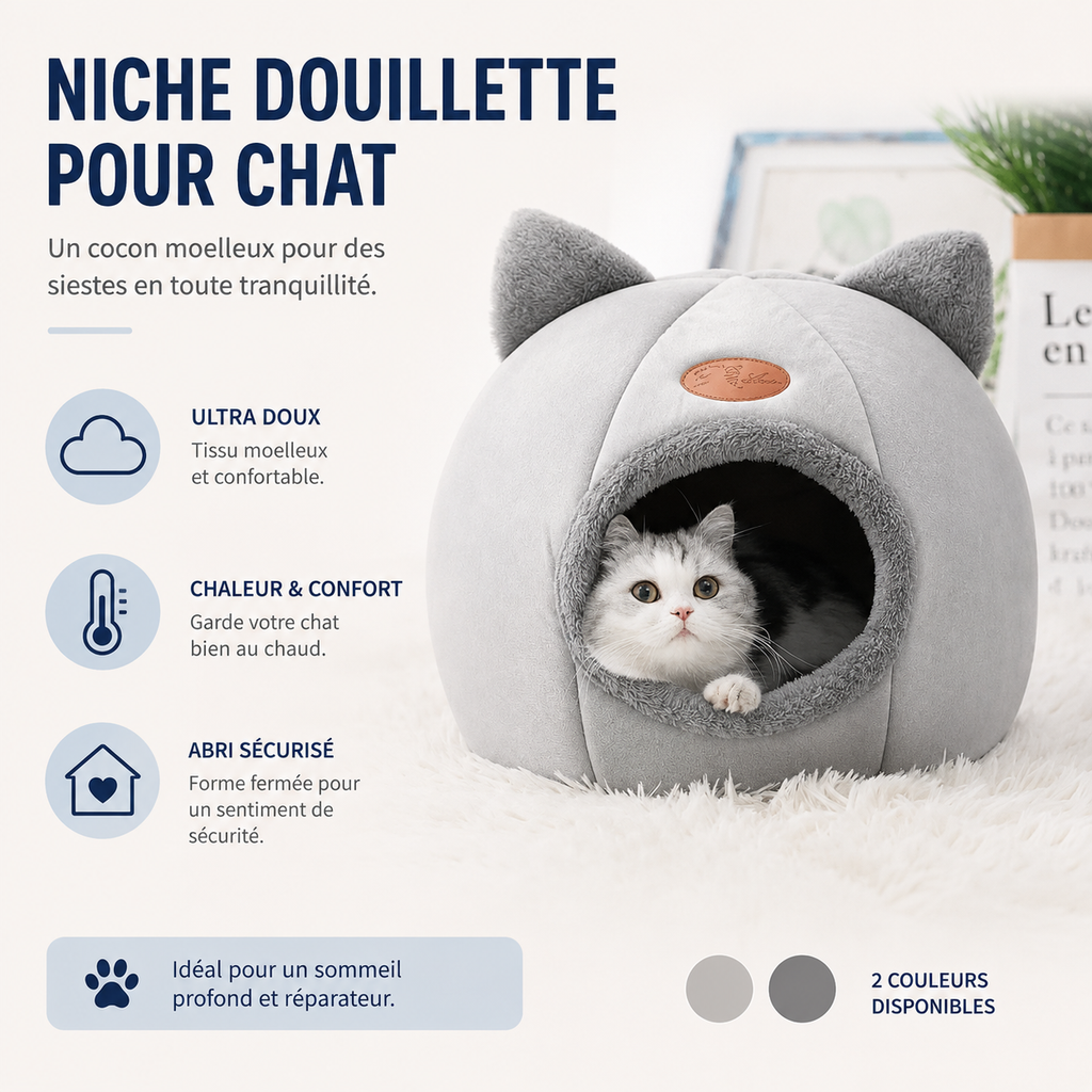 Maison chat