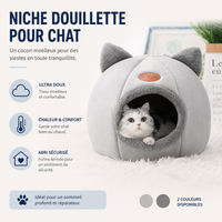 Maison chat