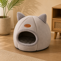 Maison chat