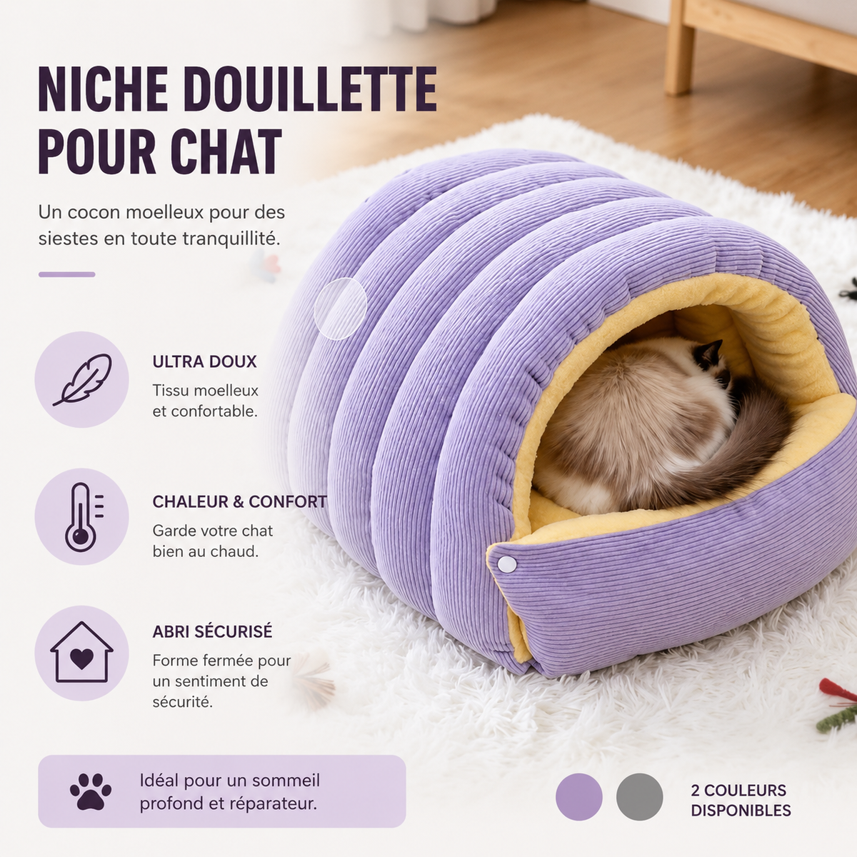 Maison chat
