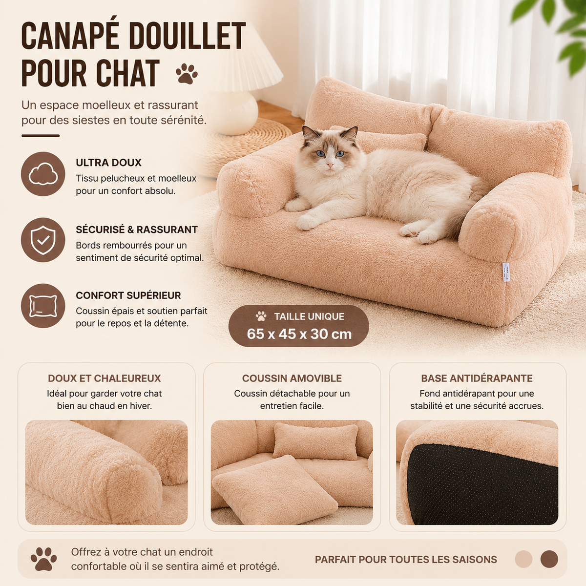 Maison chat