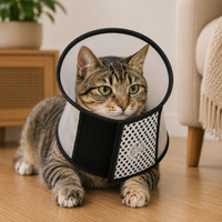 Collerette Chat Ajustable à Pois