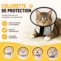 Collerette Chat Ajustable à Pois