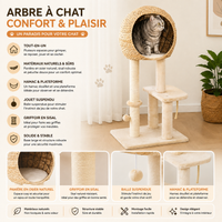 Petit Arbre à Chat en Osier