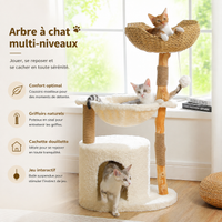 Arbre à Chat Naturel en Bois Flotté