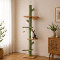 Arbre à Chat Cactus Plafond
