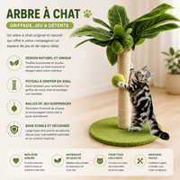 Arbre à Chat Palmier