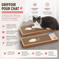Griffoir Chat Carton Motif Souris