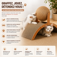 Griffoir Chat Pont avec Boule en Sisal