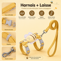 Harnais et Laisse pour Chat Motif Abeille