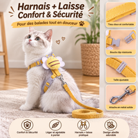 Harnais et Laisse pour Chat Motif Abeille