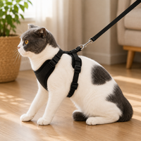 Harnais et Laisse pour Chat Lumineux LED