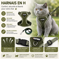 Harnais et Laisse pour Chat Rembourré
