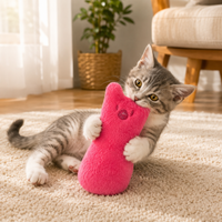 Jouet pour Chat à l'Herbe à Chat Anti-Ennui