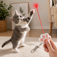 Jouet Laser pour Chat Rechargeable Motifs Lumineux